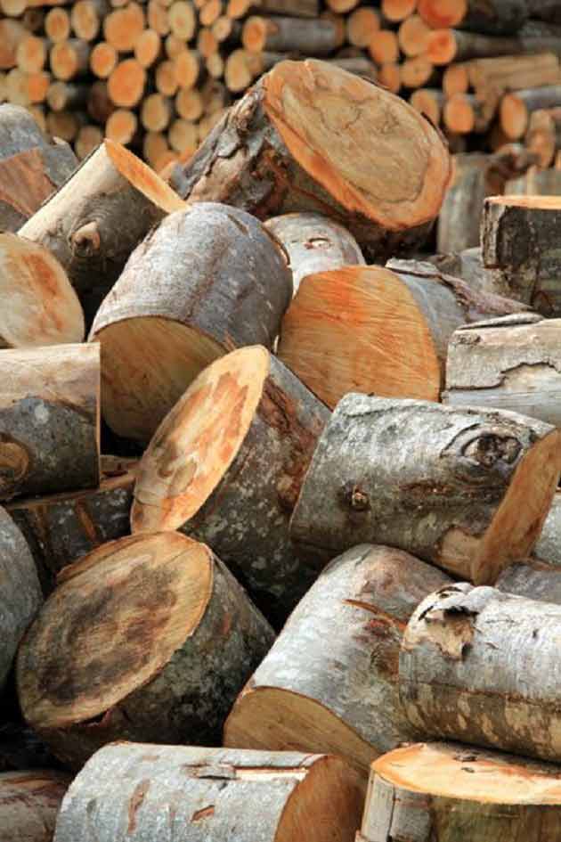 transformacion de madera en productos de calidad